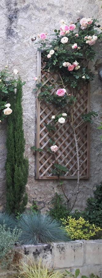 Hotel De Biencourt Azay-le-Rideau Εξωτερικό φωτογραφία